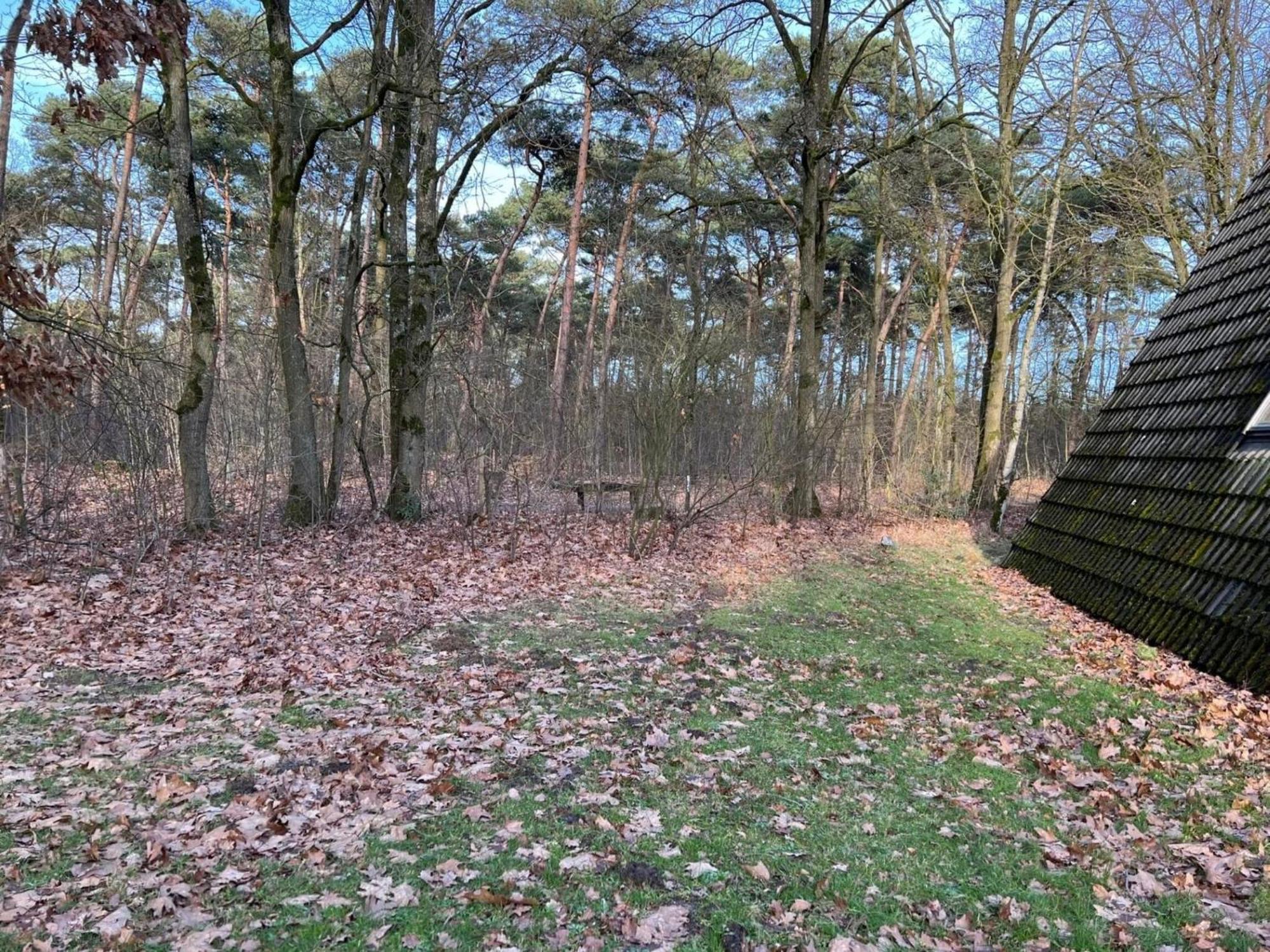 Lovely Holiday Home In Limburg Amid Lush Forest Stramproy Exterior photo